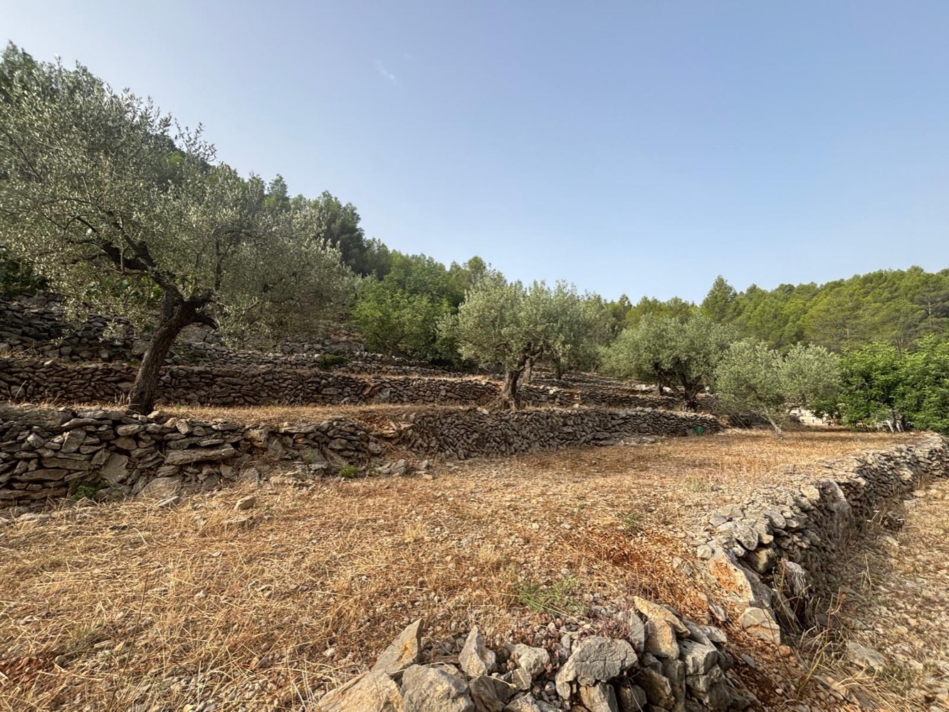 Inmobiliaria Terreno Valencia Valencia Costa Blanca'