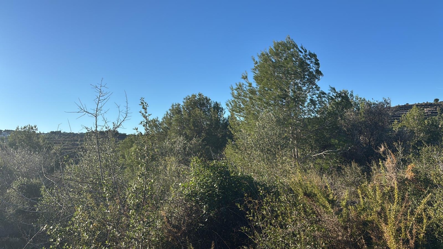 Inmobiliaria Parcela Teulada-Moraira Alicante Costa Blanca'