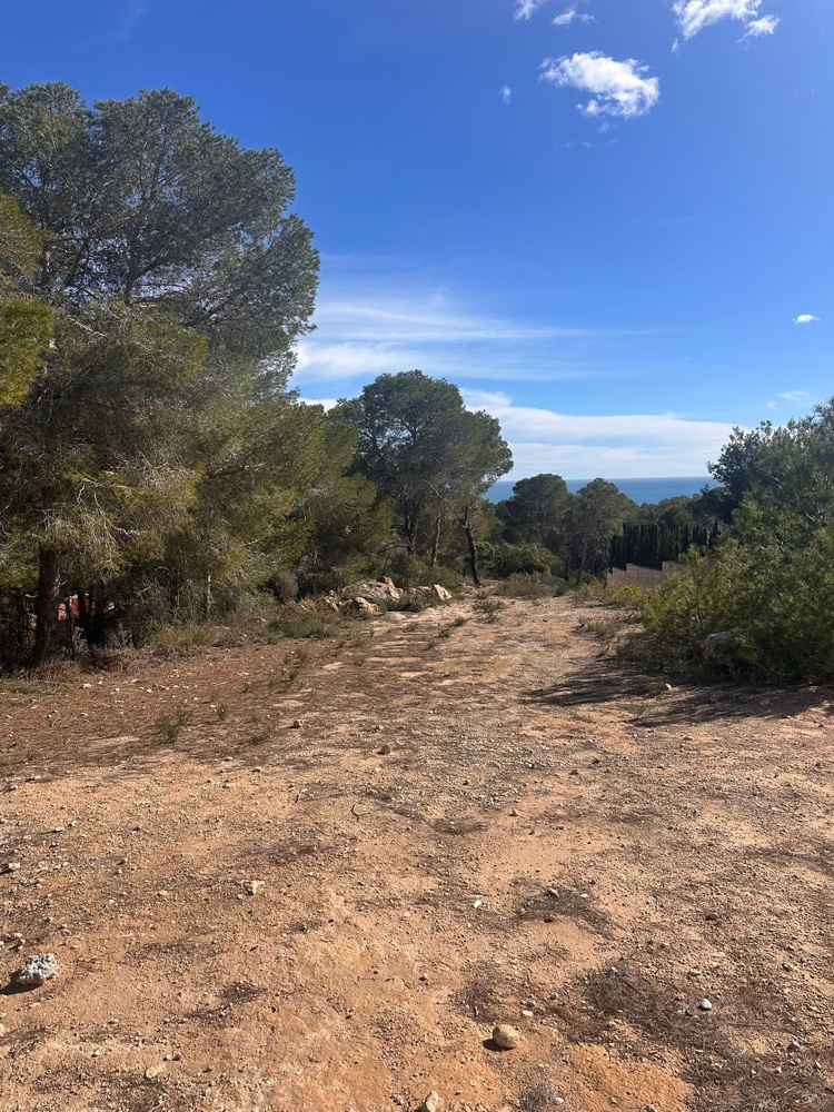 Inmobiliaria Parcela Calpe Alicante Costa Blanca'